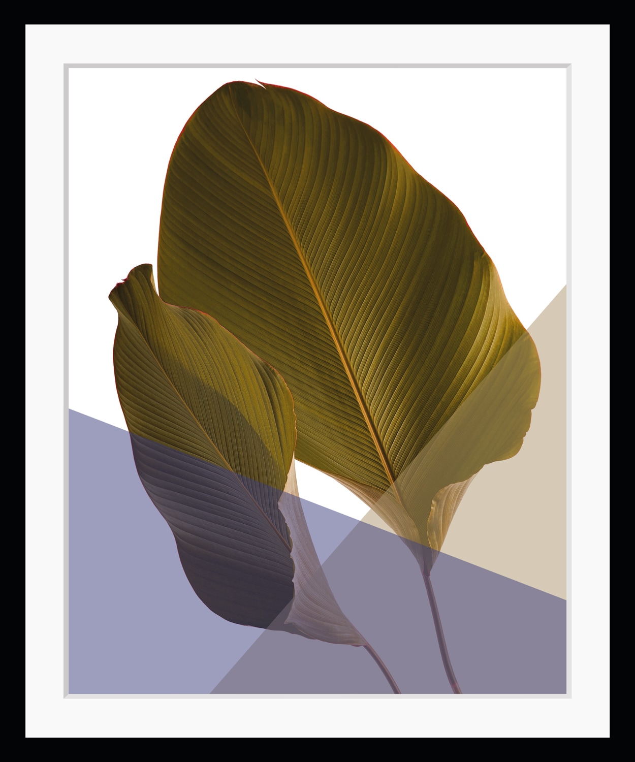 queence Bild »Moritz«, Blätter-Abstrakt-Kunst-Figuren-Pflanzen-Pflanzenbilder, HD Premium Poster-Druck inkl. Holzrahmen queence Bild »Moritz«, Blätter-Abstrakt-Kunst-Figuren-Pflanzen-Pflanzenbilder, HD Premium Poster-Druck inkl. Holzrahmen von queence
