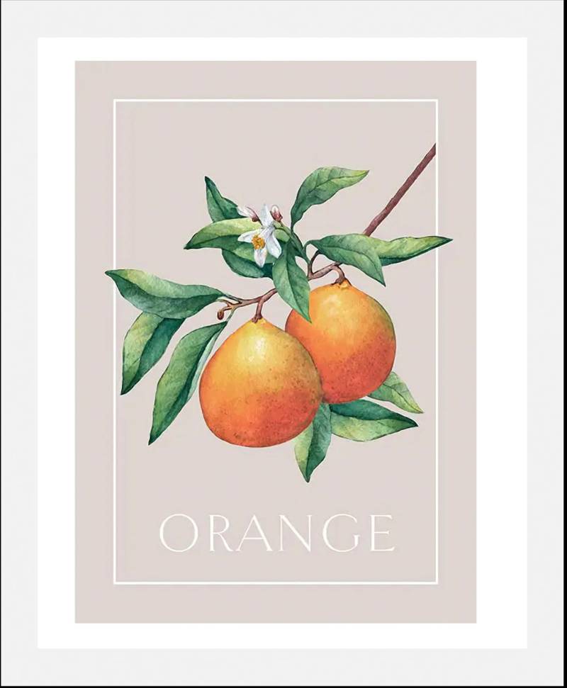 queence Bild »Orangenblüte«, Obst-Obst Bilder-Schriftzug-Kunst-Pflanzen-Pflanzenbilder, (1 St.), HD Premium Poster-Druck inkl. Holzrahmen von queence