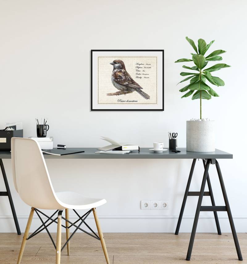 queence Bild »Passer domesticus«, Vögel-Vogelbilder-historische Ereignisse-Kunst-Sprüche & Texte, (1 St.), HD Premium Poster-Druck inkl. Holzrahmen von queence