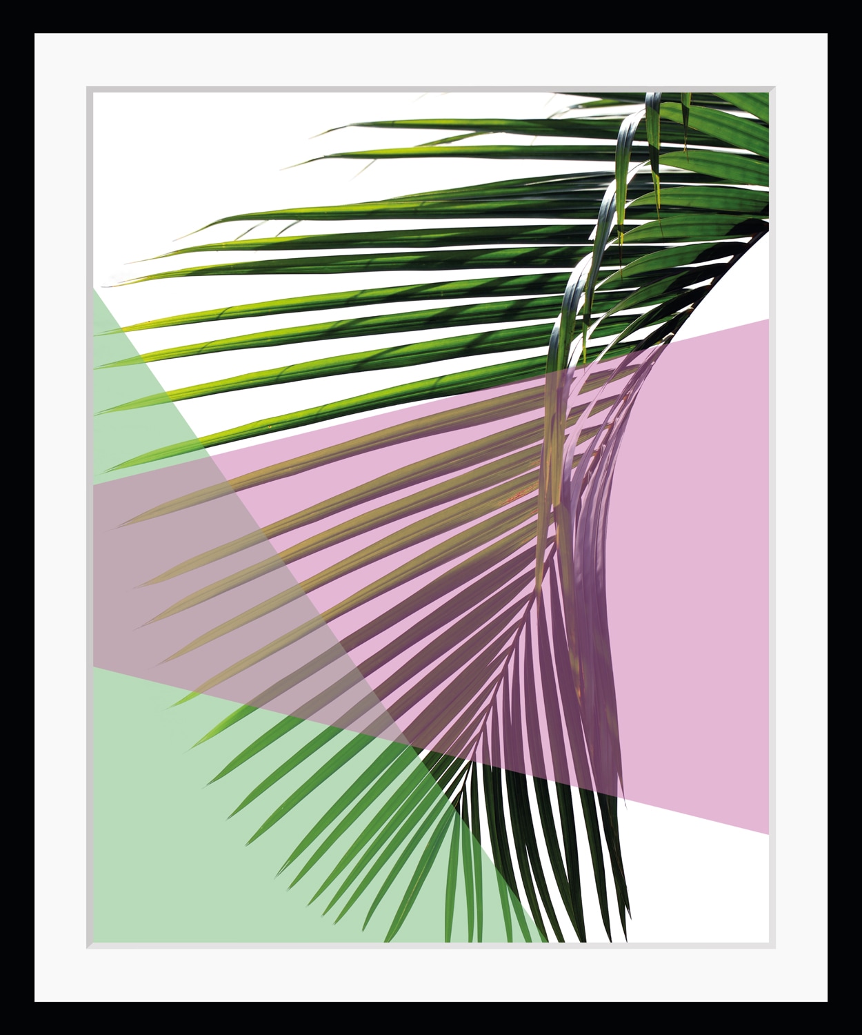 queence Bild »Philipp«, Blätter-Blumen-Kunst-Abstrakt-Figuren, HD Premium Poster-Druck inkl. Holzrahmen queence Bild »Philipp«, Blätter-Blumen-Kunst-Abstrakt-Figuren, HD Premium Poster-Druck inkl. Holzrahmen von queence