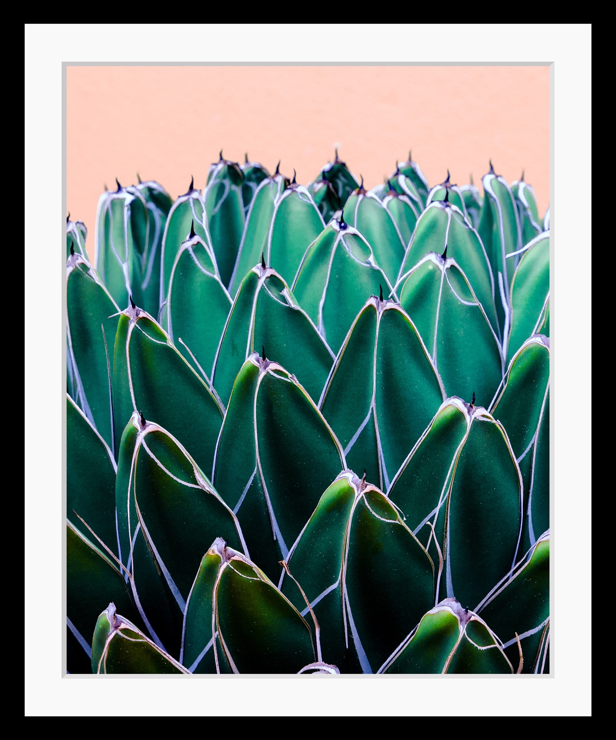 queence Bild »Ruby«, Blätter-Pflanzen-Pflanzenbilder-Kunst, HD Premium Poster-Druck inkl. Holzrahmen queence Bild »Ruby«, Blätter-Pflanzen-Pflanzenbilder-Kunst, HD Premium Poster-Druck inkl. Holzrahmen von queence