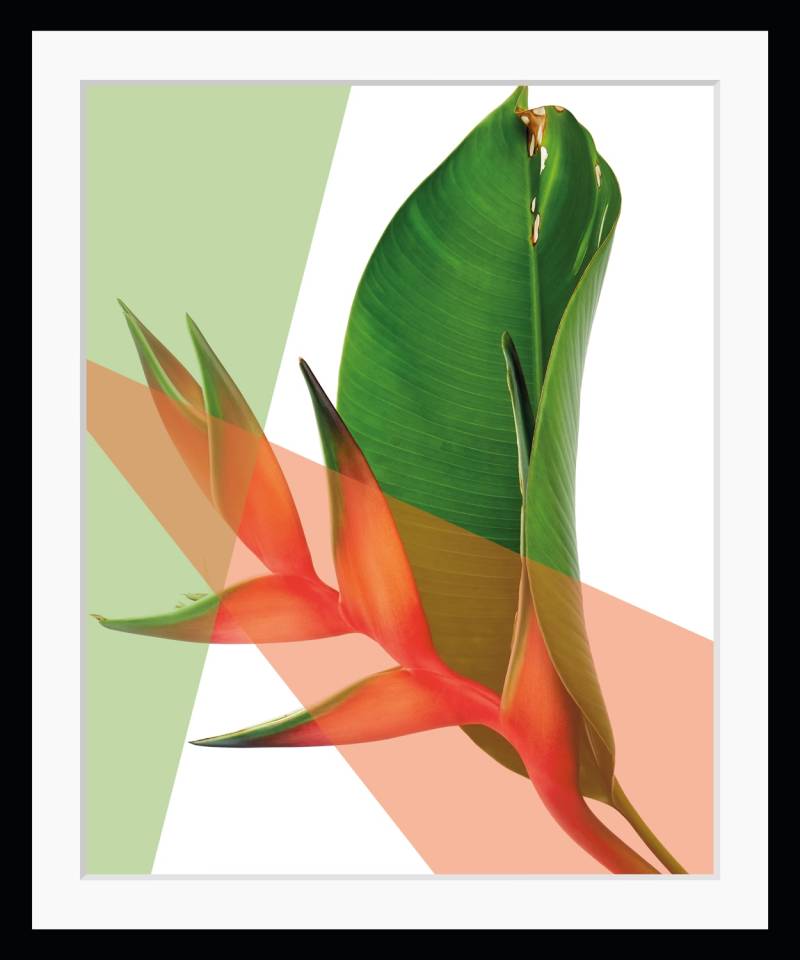 queence Bild »Sabine«, Blätter, Natur, gerahmt, Blatt von queence