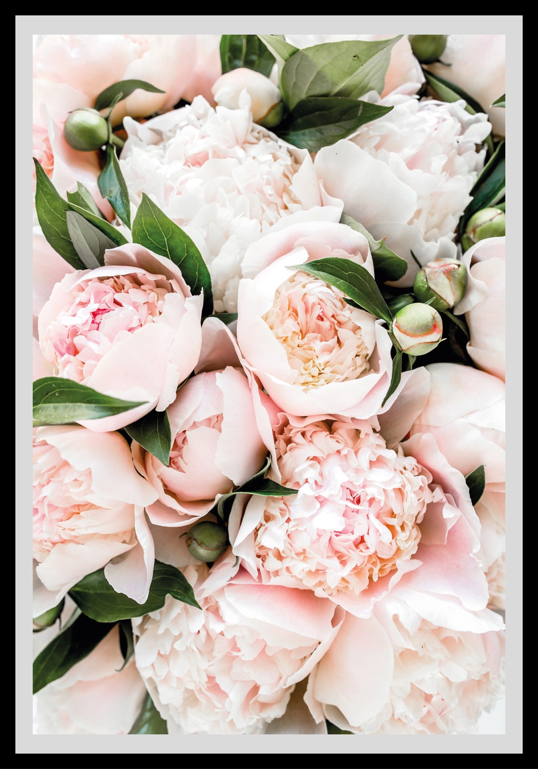 queence Bild »Stefanie«, Blumen, gerahmt, Rosen queence Bild »Stefanie«, Blumen, gerahmt, Rosen von queence