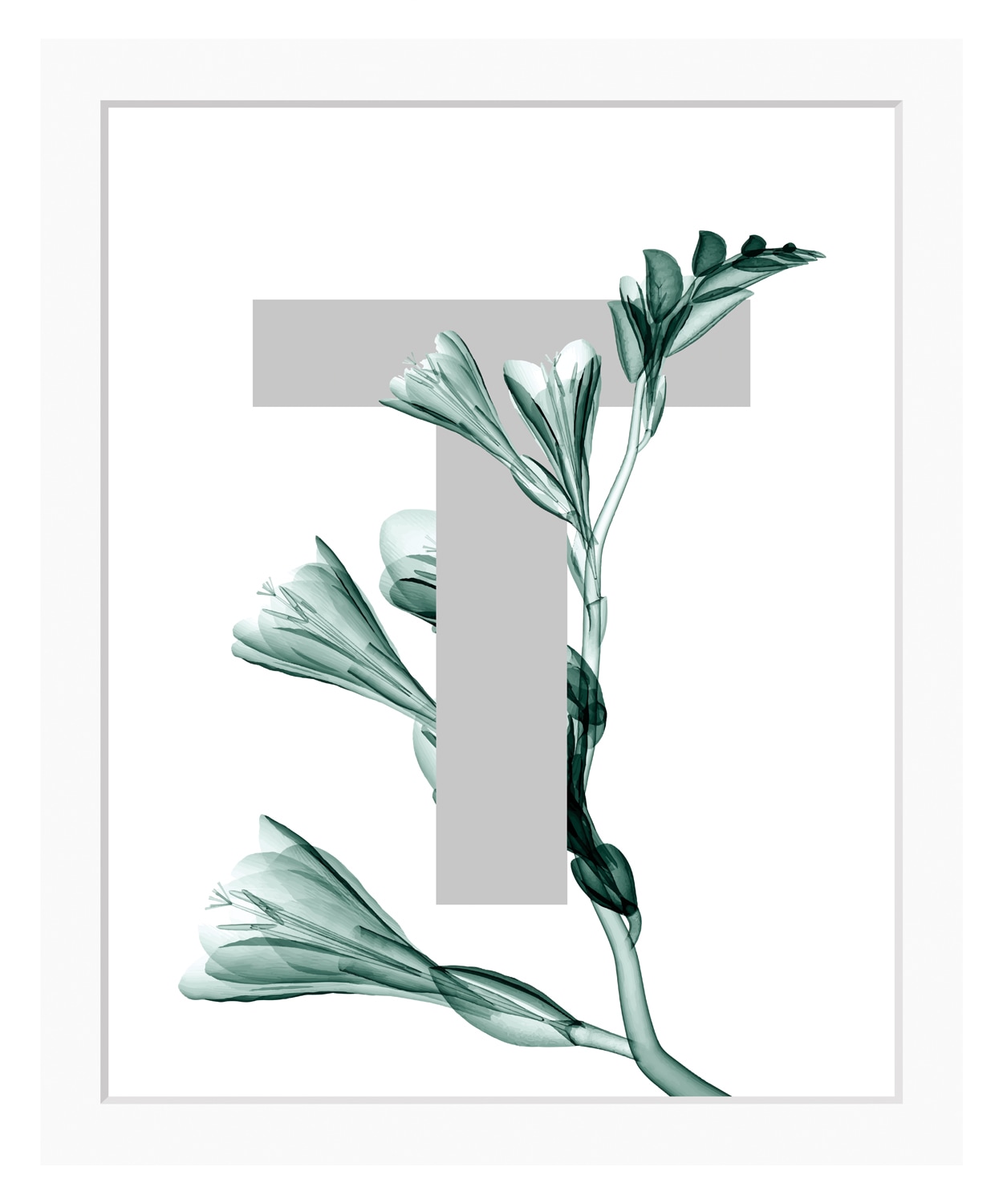 queence Bild »T-Flower«, Buchstaben, gerahmt, Blume, Blätter queence Bild »T-Flower«, Buchstaben, gerahmt, Blume, Blätter von queence