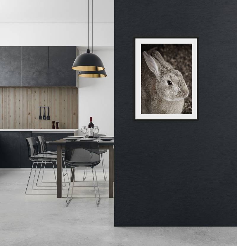 queence Bild »Tilde«, Hase-Hasen-Foto-Kunst-Haustiere, (1 St.), HD Premium Poster-Druck inkl. Holzrahmen von queence