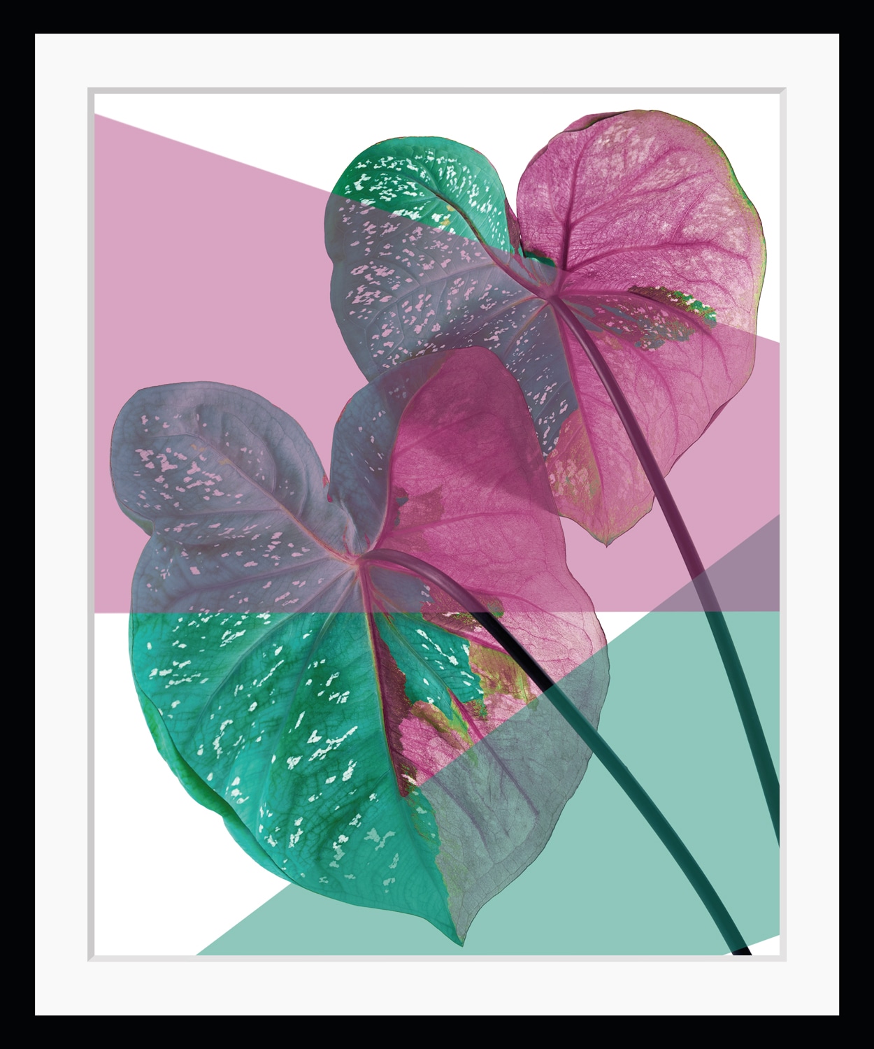 queence Bild »Vicky«, Blätter-Kunst-Pflanzen-Pflanzenbilder, HD Premium Poster-Druck inkl. Holzrahmen queence Bild »Vicky«, Blätter-Kunst-Pflanzen-Pflanzenbilder, HD Premium Poster-Druck inkl. Holzrahmen von queence