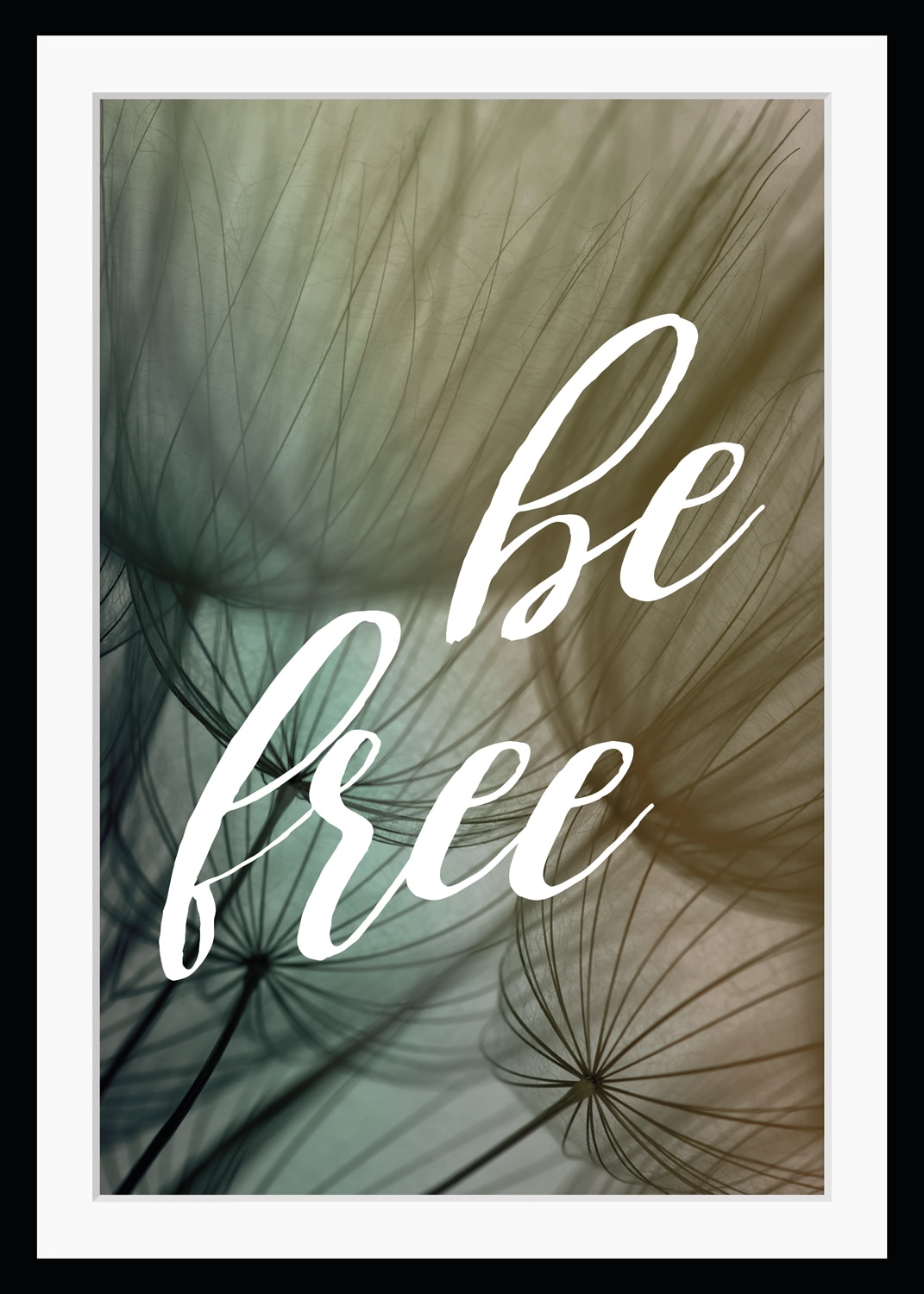 queence Bild »be free«, Sprüche & Texte, gerahmt, Pusteblume, Spruch von queence