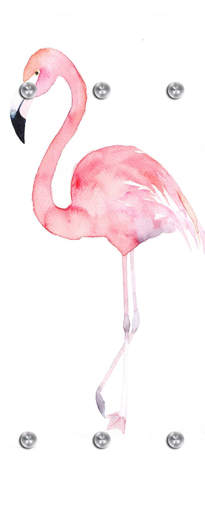 queence Garderobenleiste »Flamingo«, mit 6 Haken, 50 x 120 cm von queence