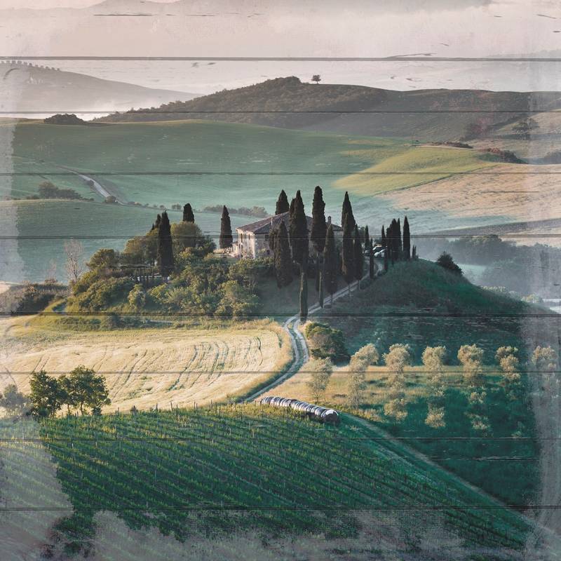 queence Holzbild »Weinberge in der Toscana«, 50x50 cm von queence