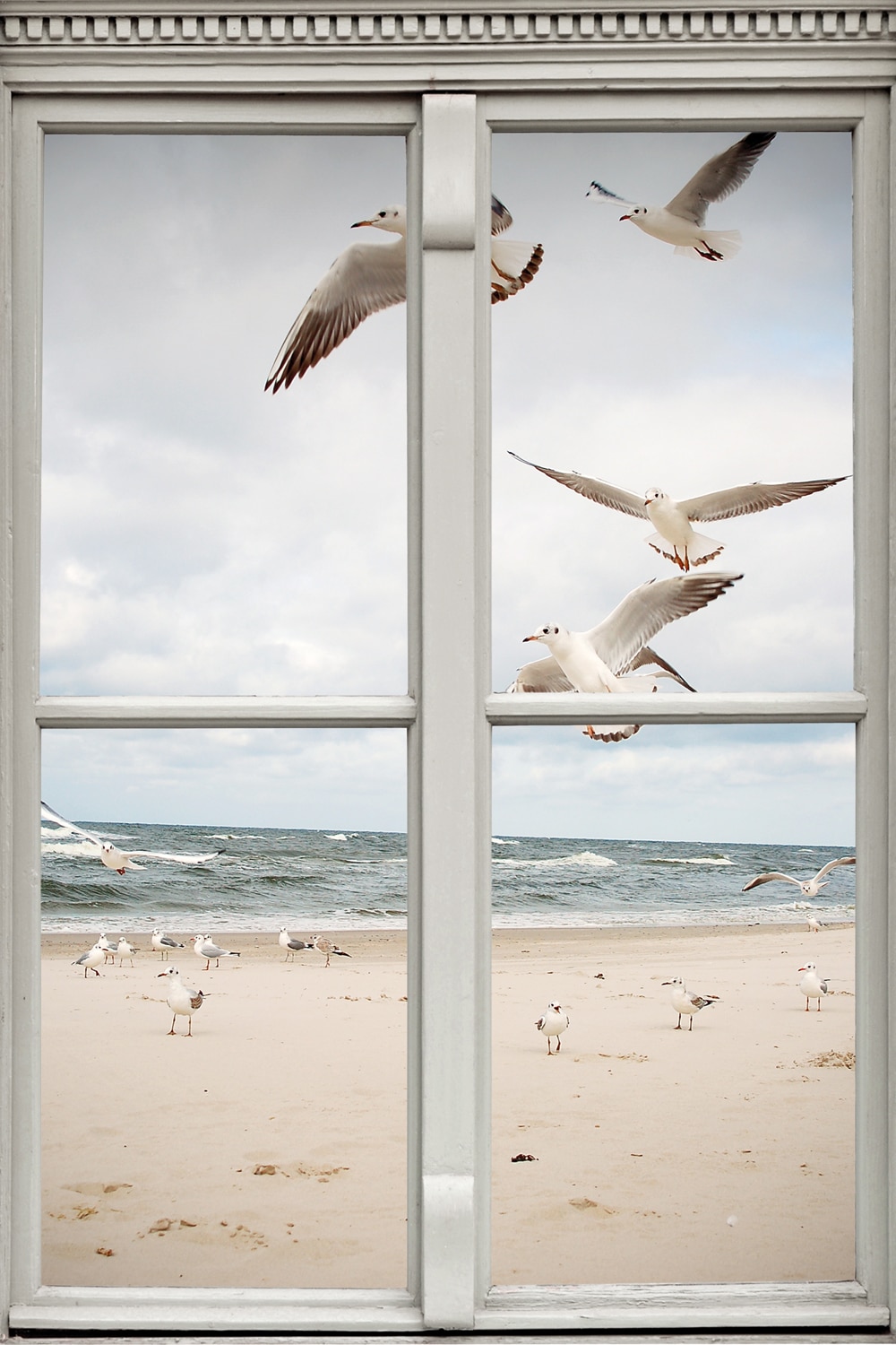 queence Leinwandbild »Möwen«, Meer-Natur-Vögel-Fensterblick, (1 St.), Premium-Leinwandstoff, Handarbeit aus Deutschland von queence