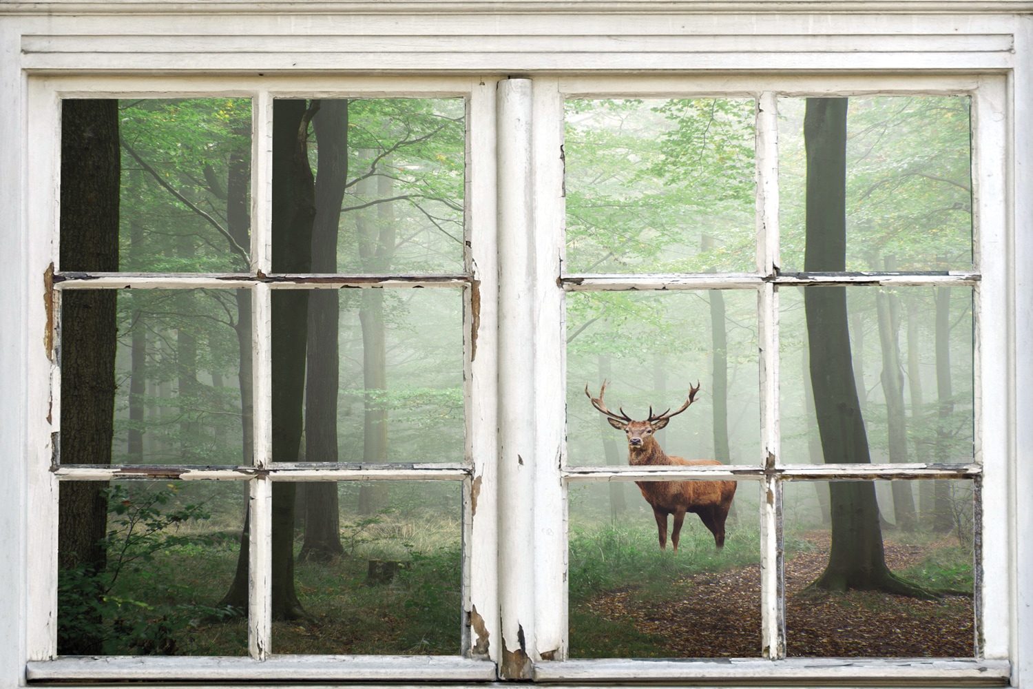 queence Leinwandbild »Wald«, Natur-Bäume-Tiere-Hirsch-Hirschbilder-Landschaft-Wald-Waldbilder-Fensterblick, (1 St.), Premium-Leinwandstoff, Handarbeit aus Deutschland von queence