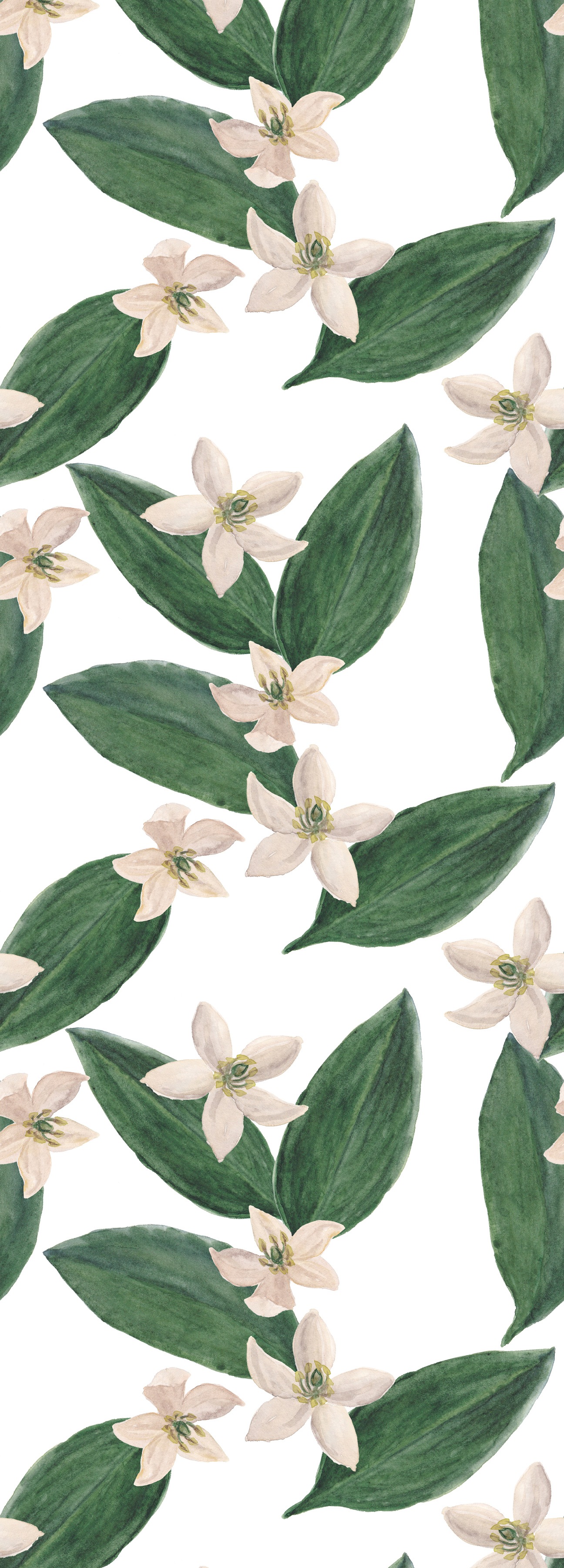 queence Vinyltapete »Moif«, bedruckt-Motiv-botanisch-floral-gemustert-natürlich, 90x250cm, selbstklebend, kinderleichte Anbringung, Sticker queence Vinyltapete »Moif«, bedruckt-Motiv-botanisch-floral-gemustert-natürlich, 90x250cm, selbstklebend, kinderleichte Anbringung, Sticker von queence