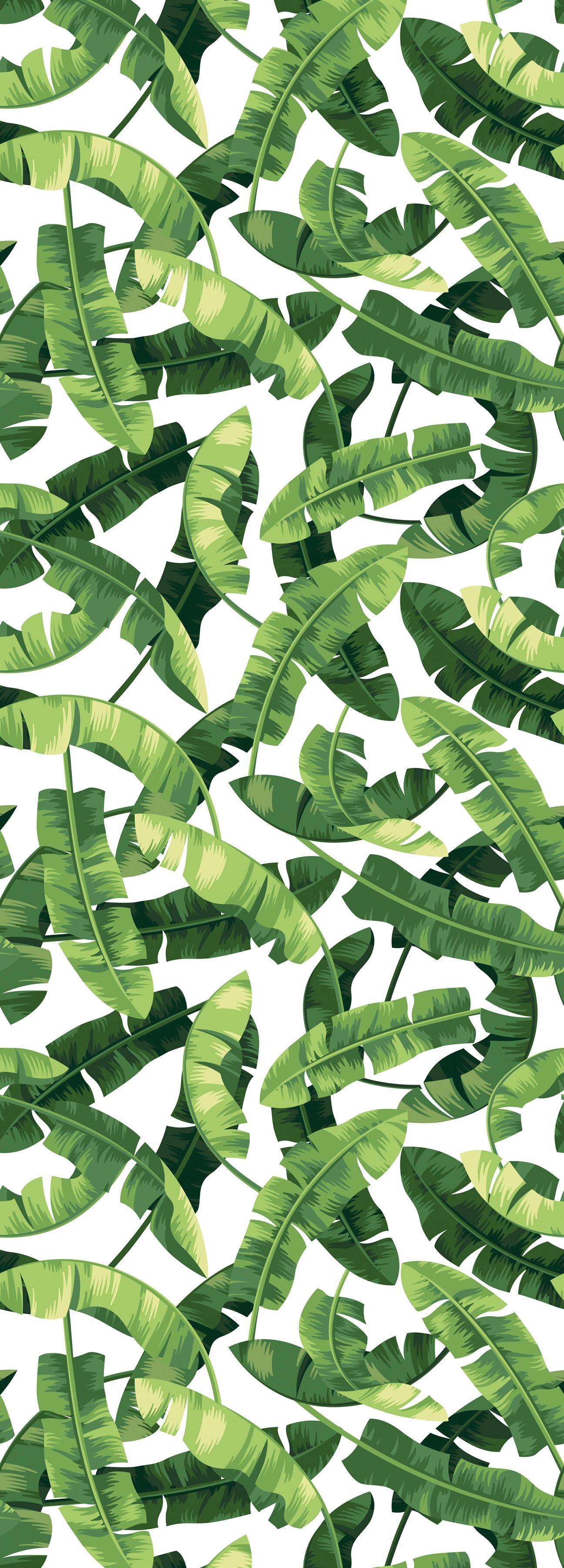 queence Vinyltapete »Oungi«, bedruckt-Motiv-botanisch-floral-gemustert-natürlich, 90x250cm, selbstklebend, kinderleichte Anbringung, Sticker queence Vinyltapete »Oungi«, bedruckt-Motiv-botanisch-floral-gemustert-natürlich, 90x250cm, selbstklebend, kinderleichte Anbringung, Sticker von queence