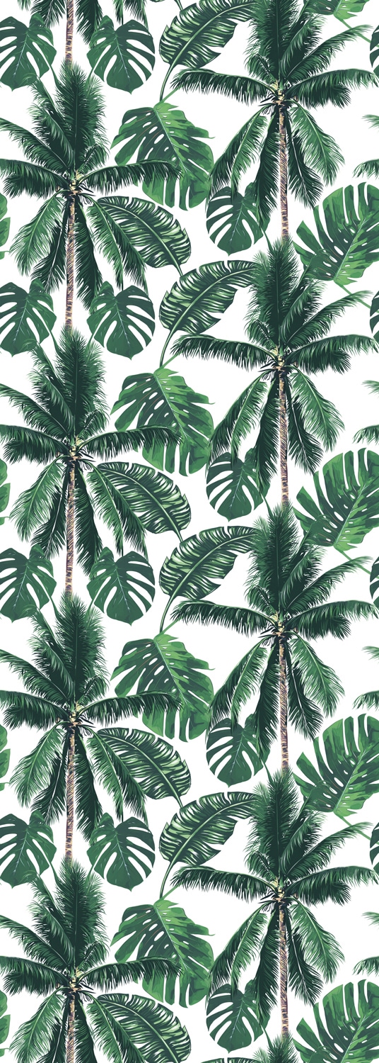 queence Vinyltapete »Palm Tree«, 90 x 250 cm, selbstklebend von queence