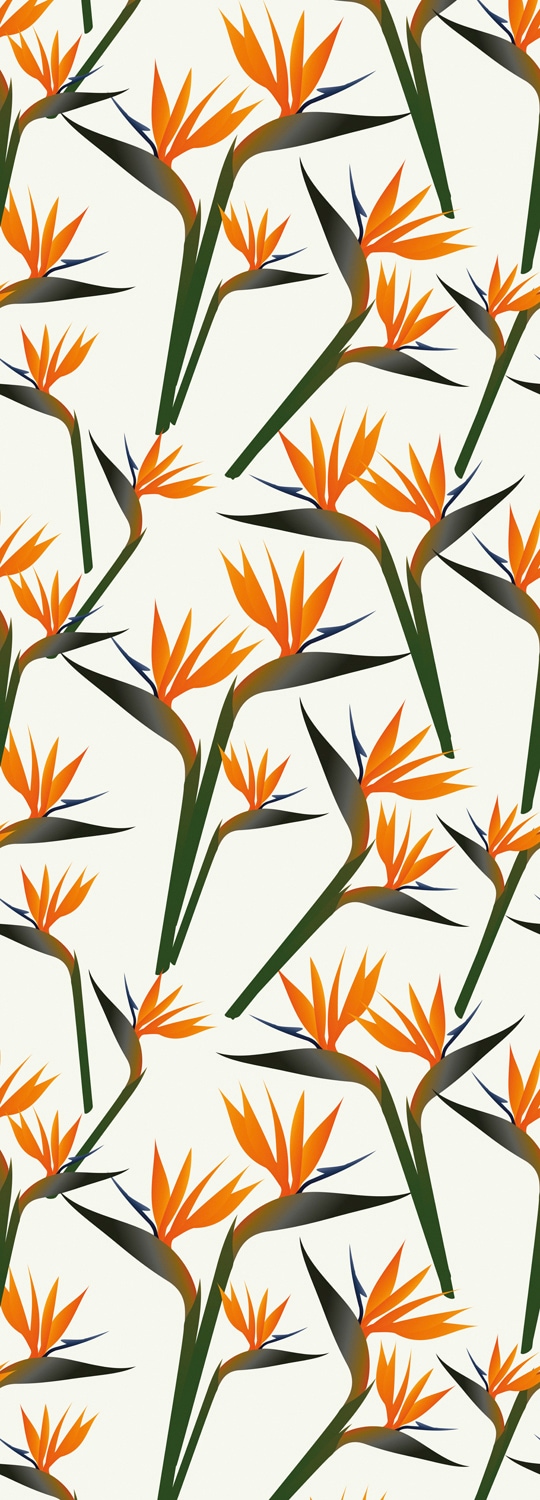 queence Vinyltapete »Samuel«, bedruckt-Motiv-botanisch-floral-gemustert-natürlich, 90x250cm, selbstklebend, kinderleichte Anbringung, Sticker queence Vinyltapete »Samuel«, bedruckt-Motiv-botanisch-floral-gemustert-natürlich, 90x250cm, selbstklebend, kinderleichte Anbringung, Sticker von queence
