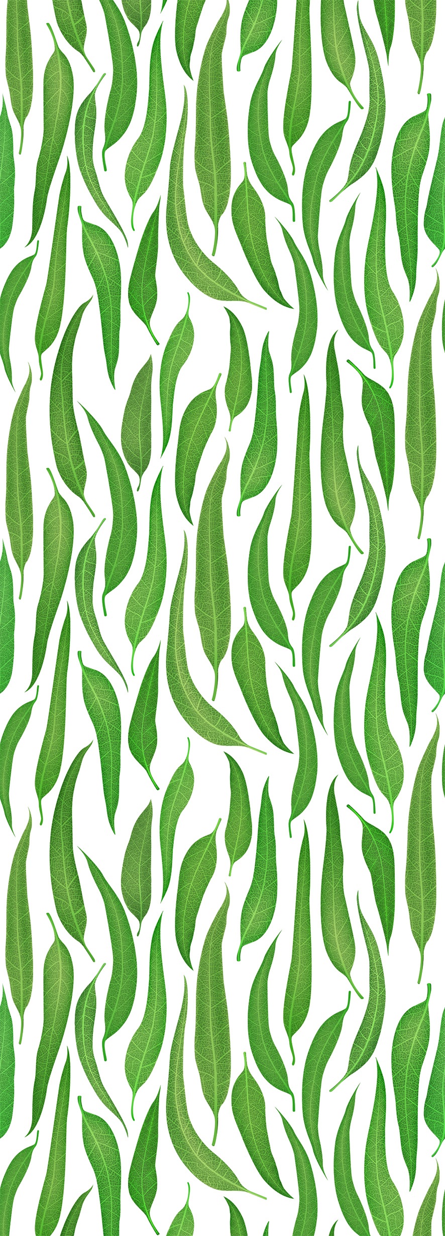 queence Vinyltapete »Weiden Blätter«, bedruckt-Motiv-botanisch-floral-gemustert-natürlich, 90x250cm, selbstklebend, kinderleichte Anbringung, Sticker queence Vinyltapete »Weiden Blätter«, bedruckt-Motiv-botanisch-floral-gemustert-natürlich, 90x250cm, selbstklebend, kinderleichte Anbringung, Sticker von queence