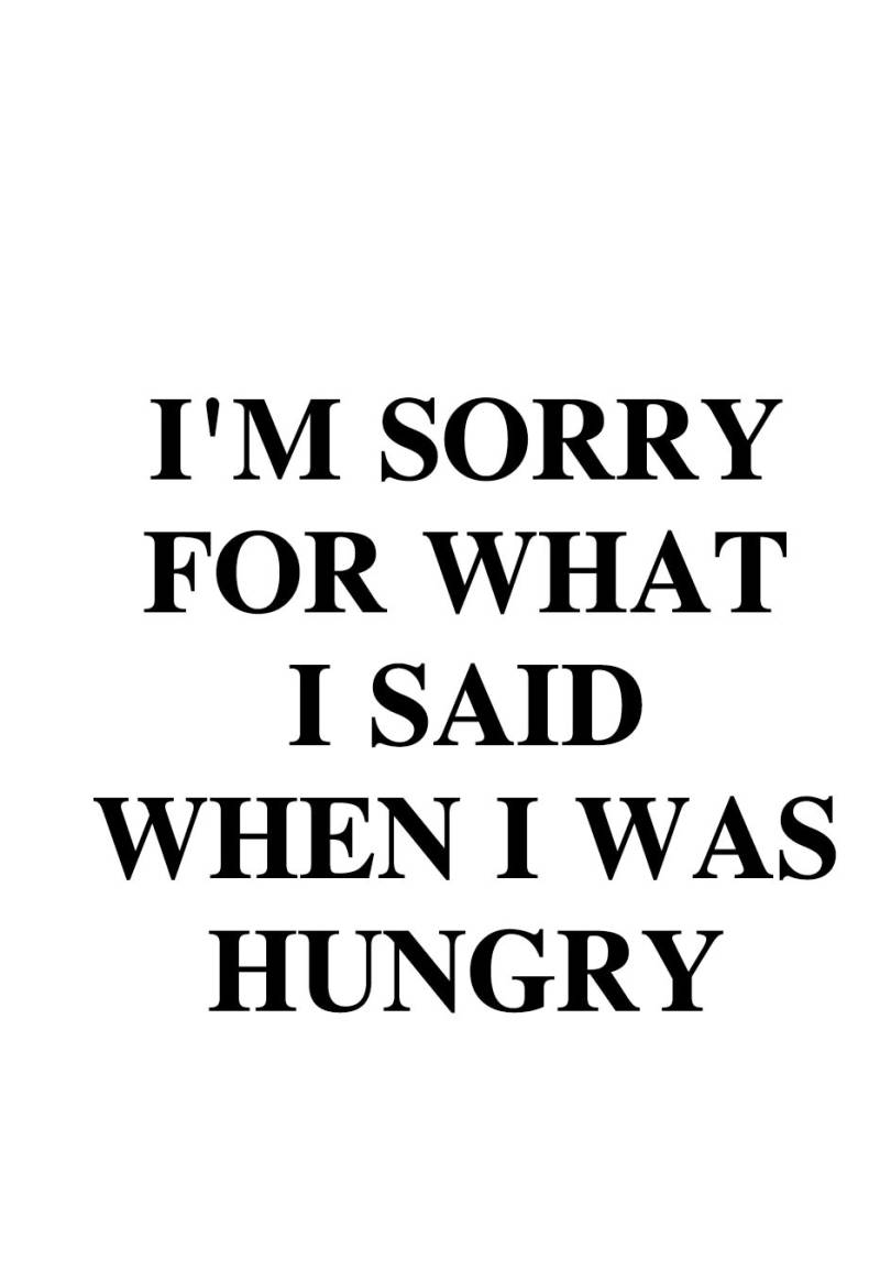 queence Wanddekoobjekt »I´m sorry for what I said ...«, Stahlschild, Blechschild, Spruch, Witzig, Wanddeko, retro, 20x30cm von queence