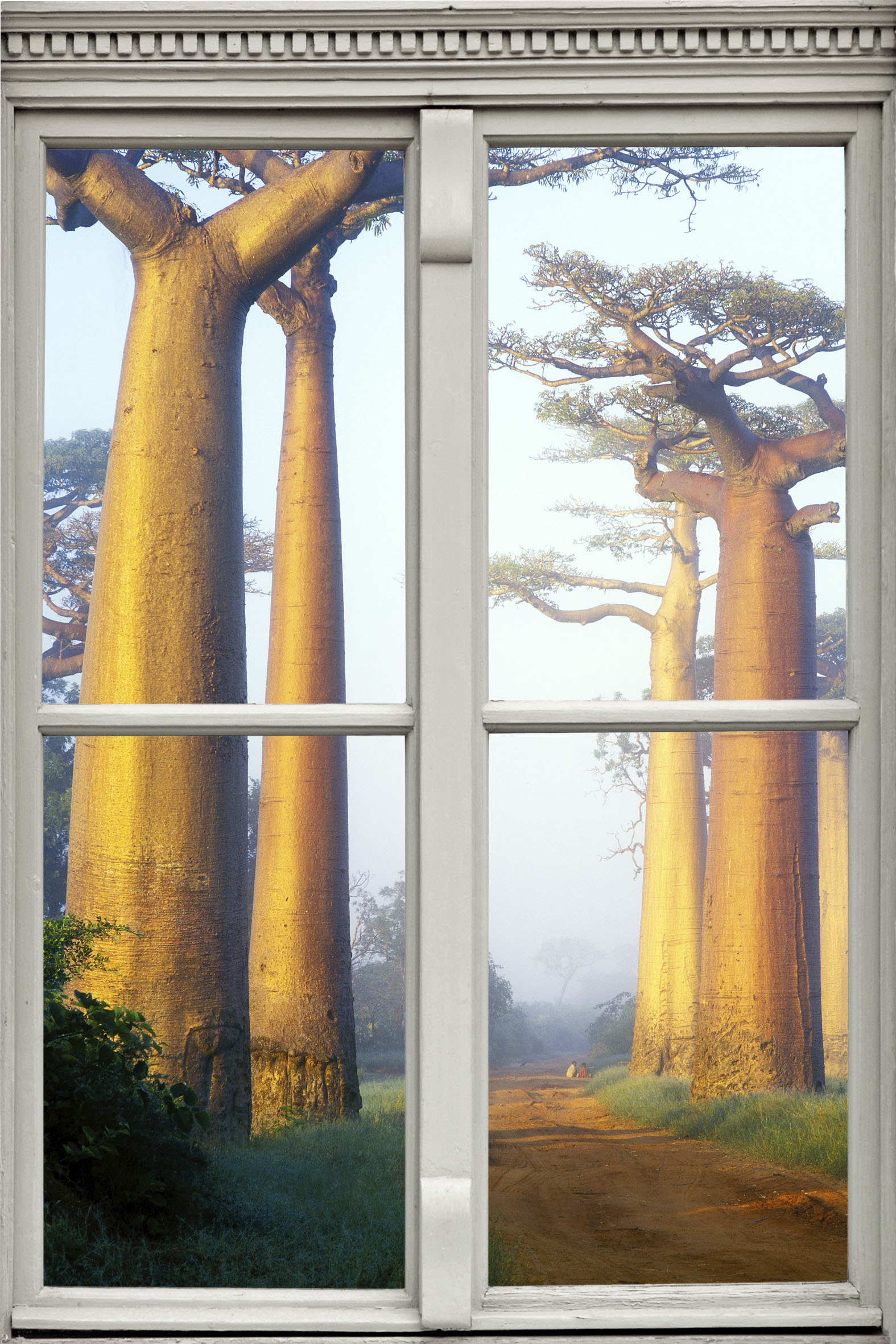 queence Wandsticker »Affenbrotbäume« von queence