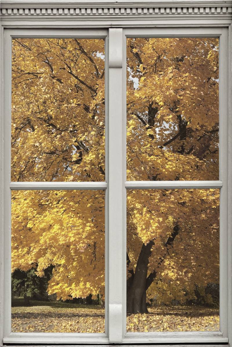 queence Wandsticker »Baum«, Wandsticker, Wandbild, selbstklebend, 3D, Fenster von queence