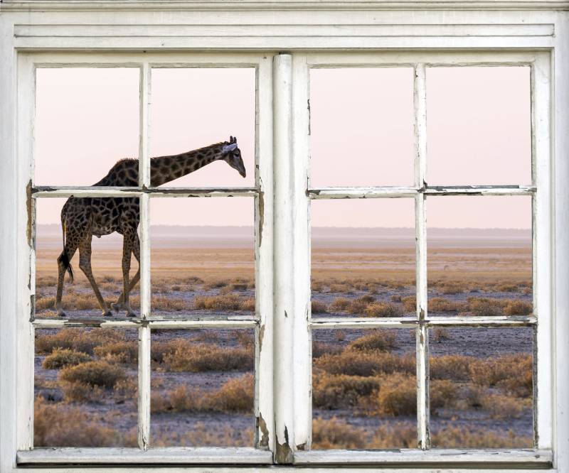 queence Wandsticker »Giraffe«, Wandsticker, Wandbild, selbstklebend, 3D, Fenster von queence