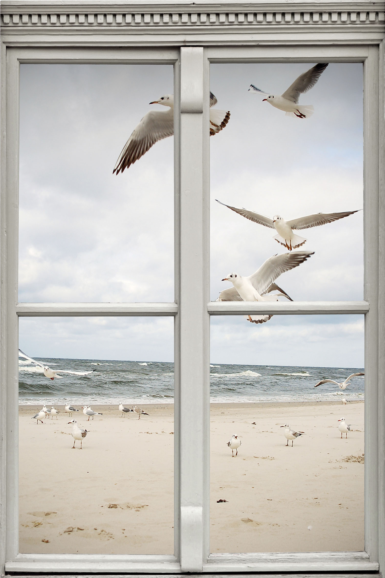 queence Wandsticker »Möwen am Strand«, Wandsticker, Wandbild, selbstklebend, 3D, Fenster von queence