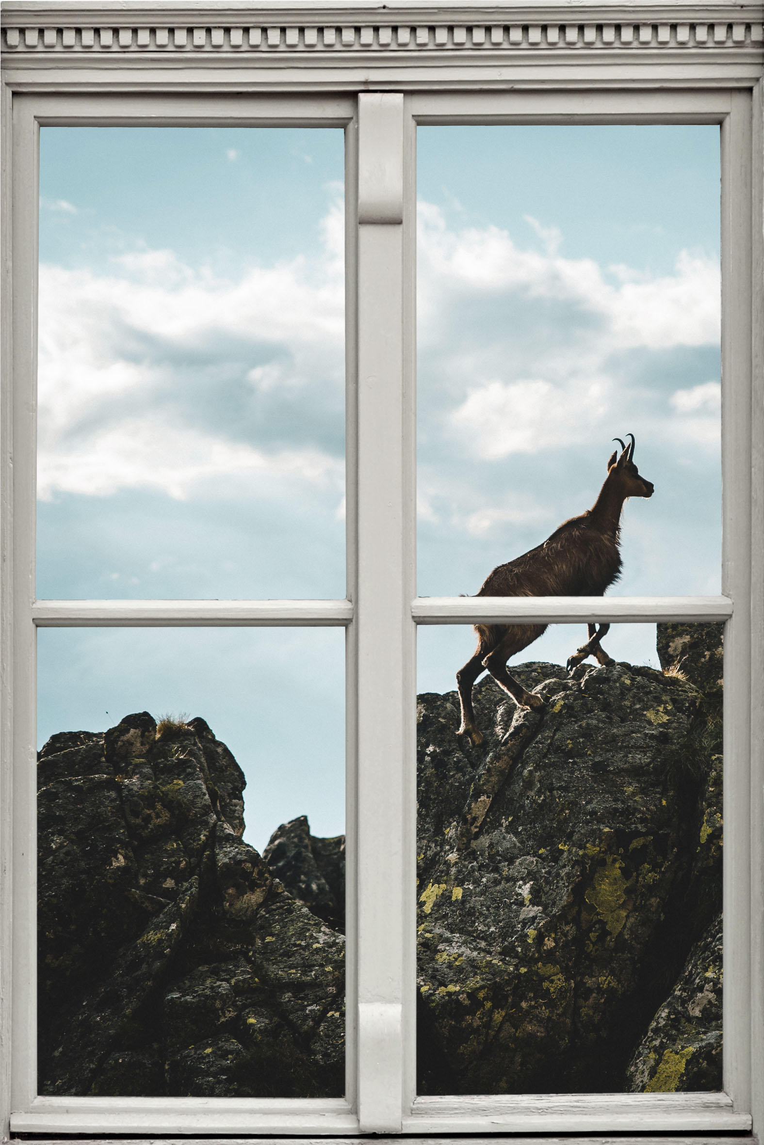 queence Wandsticker »Steinbock«, Wandsticker, Wandbild, selbstklebend, 3D, Fenster von queence