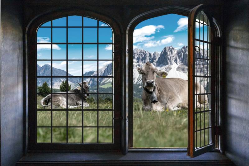 queence Wandsticker »Touch of Austria«, Wandsticker, Wandbild, selbstklebend, 3D, Fenster von queence