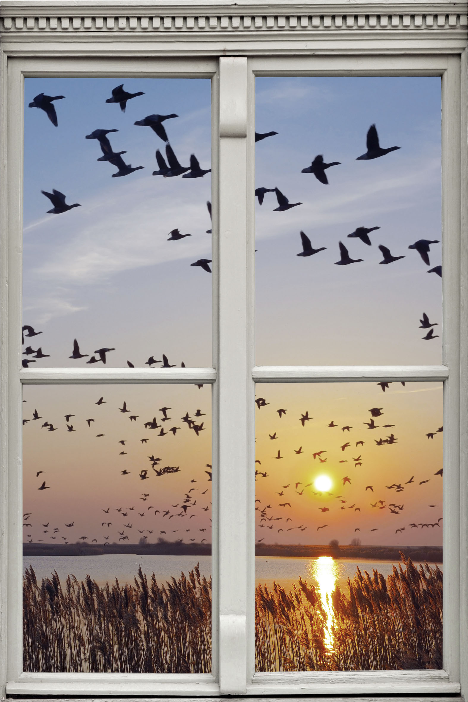 queence Wandsticker »Vogelschwarm«, Wandsticker, Wandbild, selbstklebend, 3D, Fenster von queence