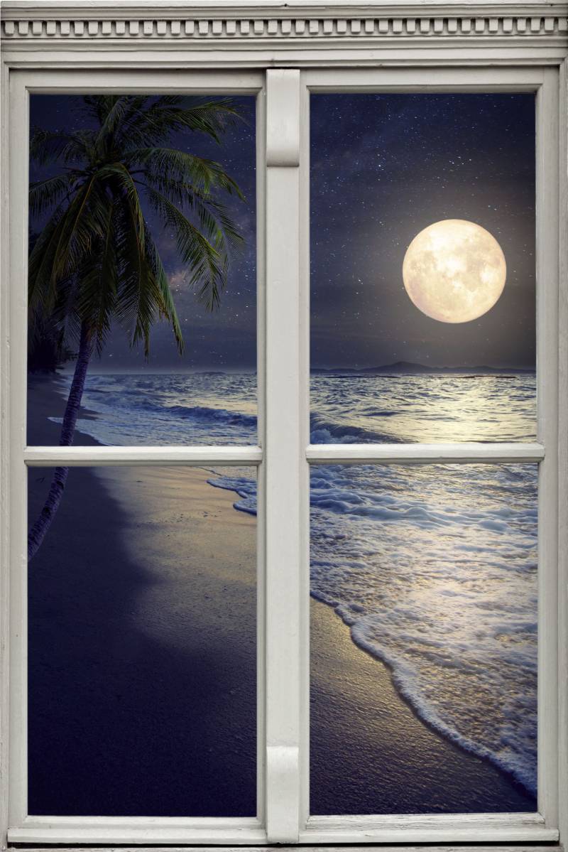 queence Wandsticker »Vollmond«, Wandsticker, Wandbild, selbstklebend, 3D, Fenster von queence