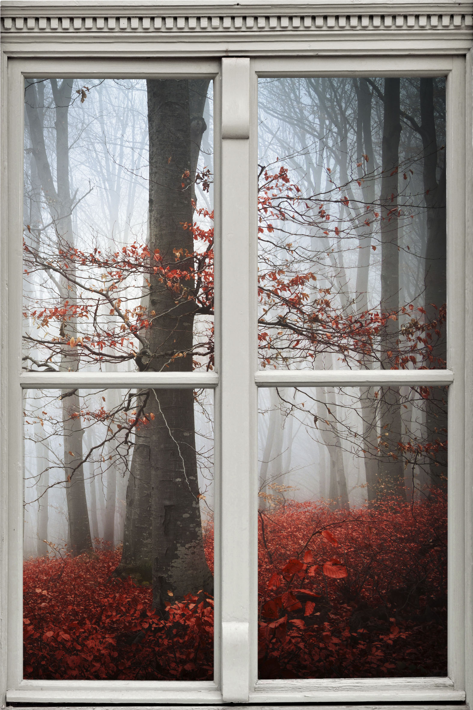 queence Wandsticker »Wald in Herbst«, Wandsticker, Wandbild, selbstklebend, 3D, Fenster von queence