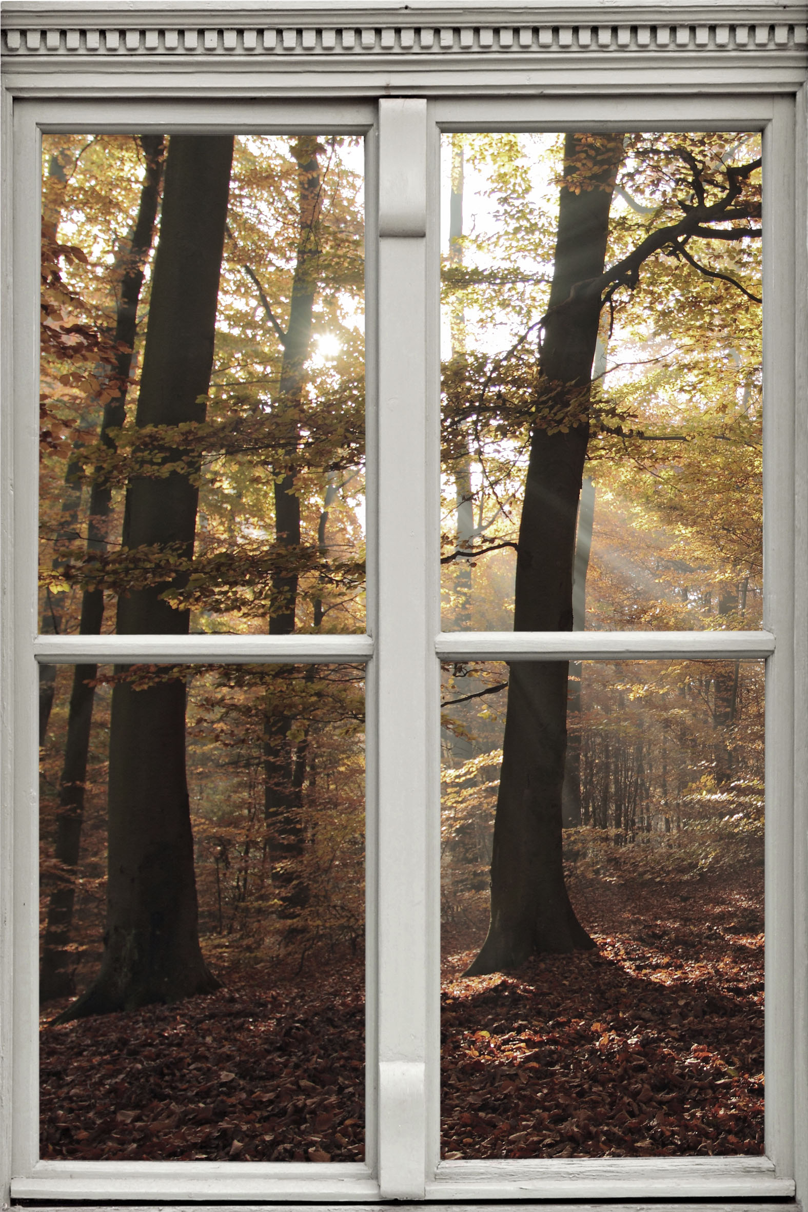 queence Wandsticker »Wald«, Wandsticker, Wandbild, selbstklebend, 3D, Fenster von queence