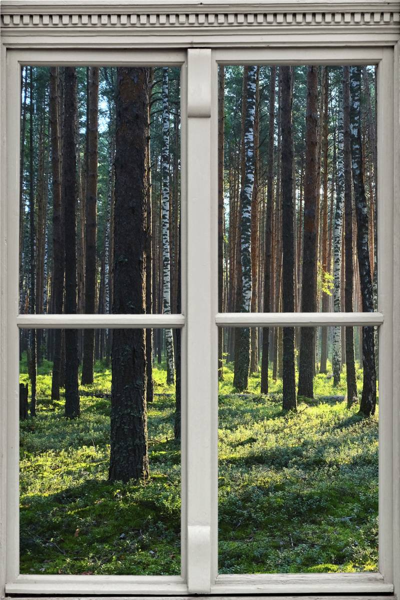 queence Wandsticker »Wald«, Wandsticker, Wandbild, selbstklebend, 3D, Fenster von queence