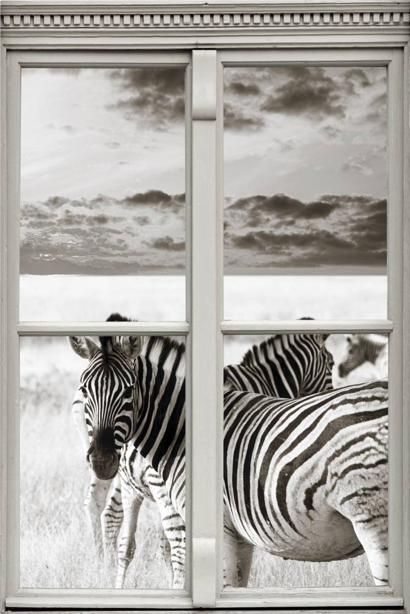 queence Wandsticker »Zebras«, Wandsticker, Wandbild, selbstklebend, 3D, Fenster von queence