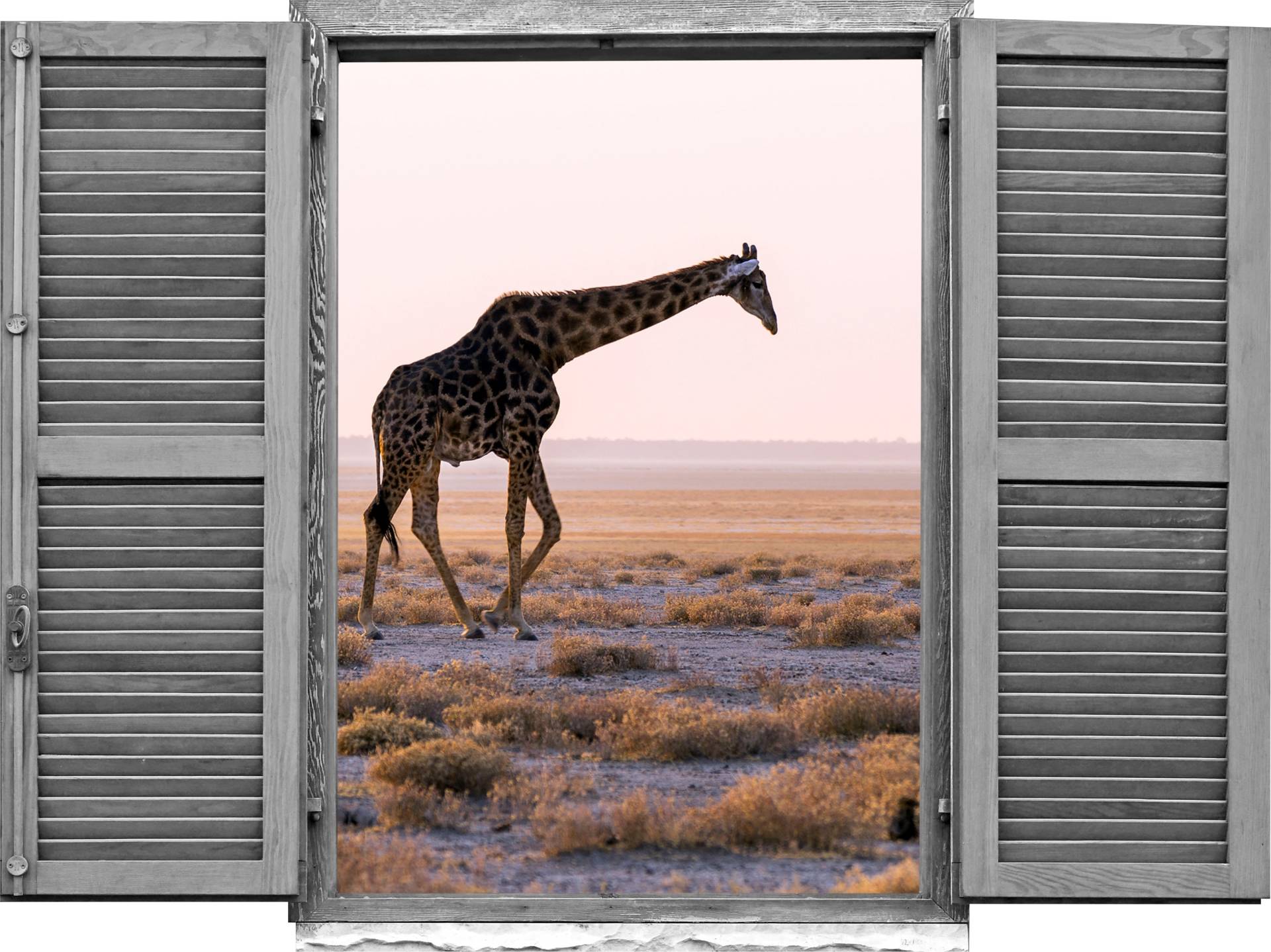 queence Wandtattoo »Giraffe«, (1 St.), Wandsticker, Wandbild, selbstklebend, 3D, Fenster von queence