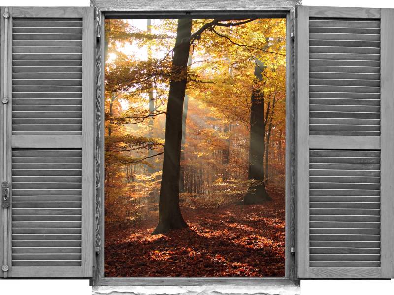 queence Wandtattoo »Wald im Herbst«, (1 St.), Wandsticker, Wandbild, selbstklebend, 3D, Fenster von queence