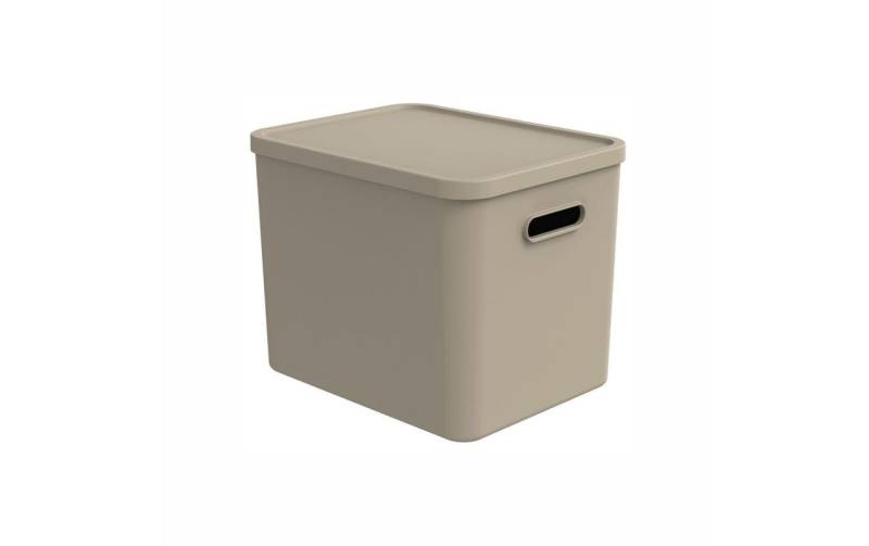 Rotho Babydesign Aufbewahrungsbox »KAYO L« von rotho babydesign