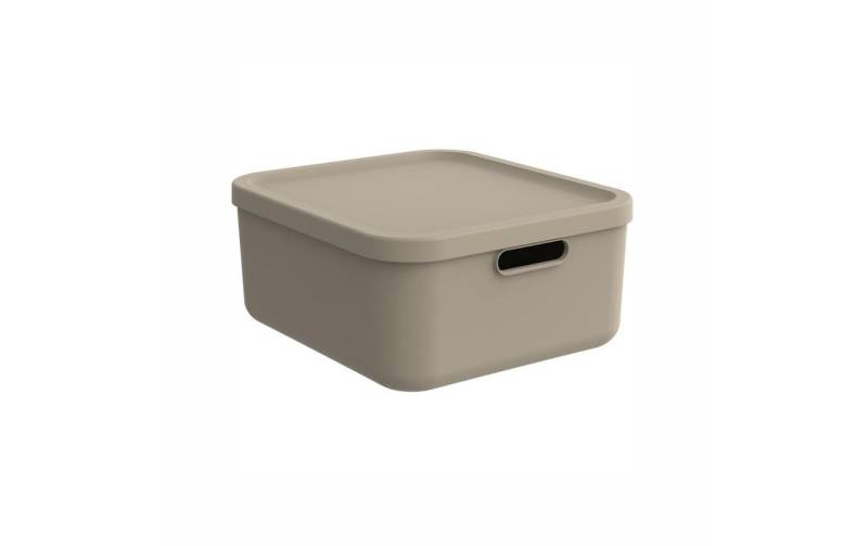 Rotho Babydesign Aufbewahrungsbox »KAYO M« von rotho babydesign