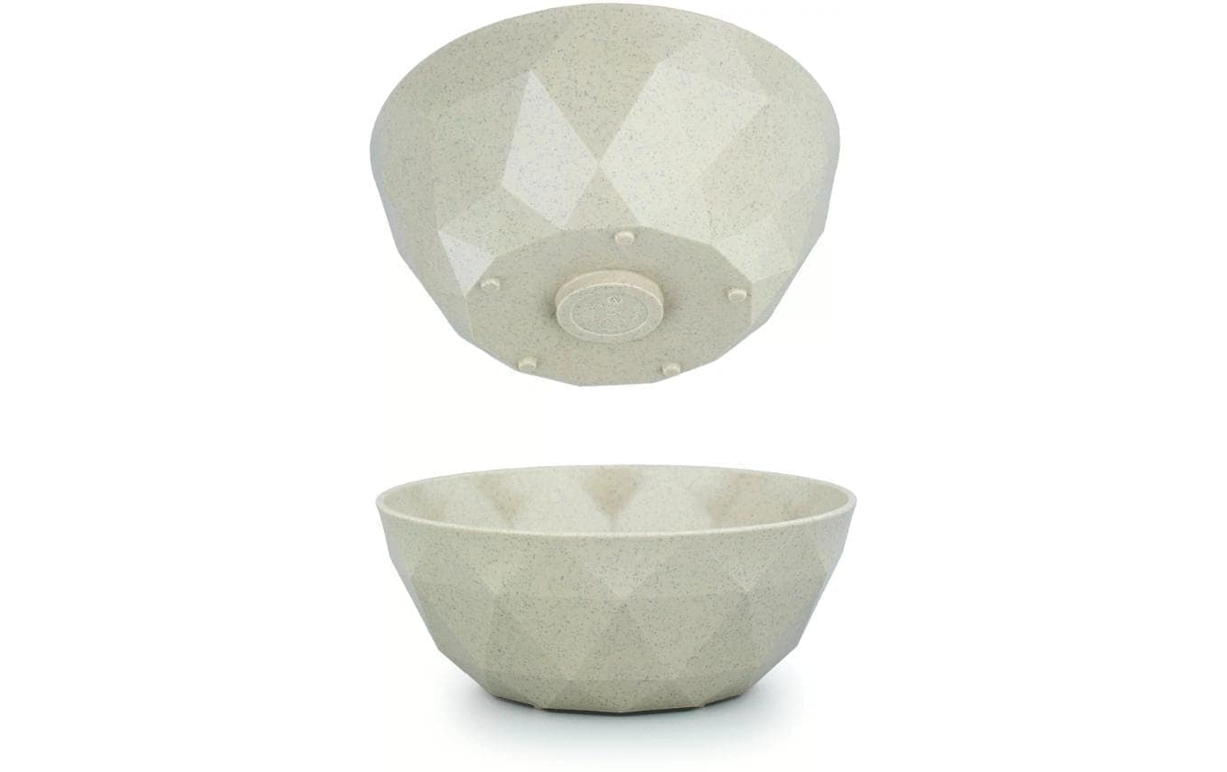 Schüssel »Silwy Magnet Bowl«, aus Kunststoff Schüssel »Silwy Magnet Bowl«, aus Kunststoff von silwy MAGNETIC SYSTEM