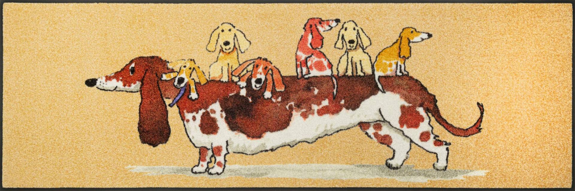 wash+dry by Kleen-Tex Läufer »Woof Buddies«, rechteckig wash+dry by Kleen-Tex Läufer »Woof Buddies«, rechteckig von wash+dry by Kleen-Tex